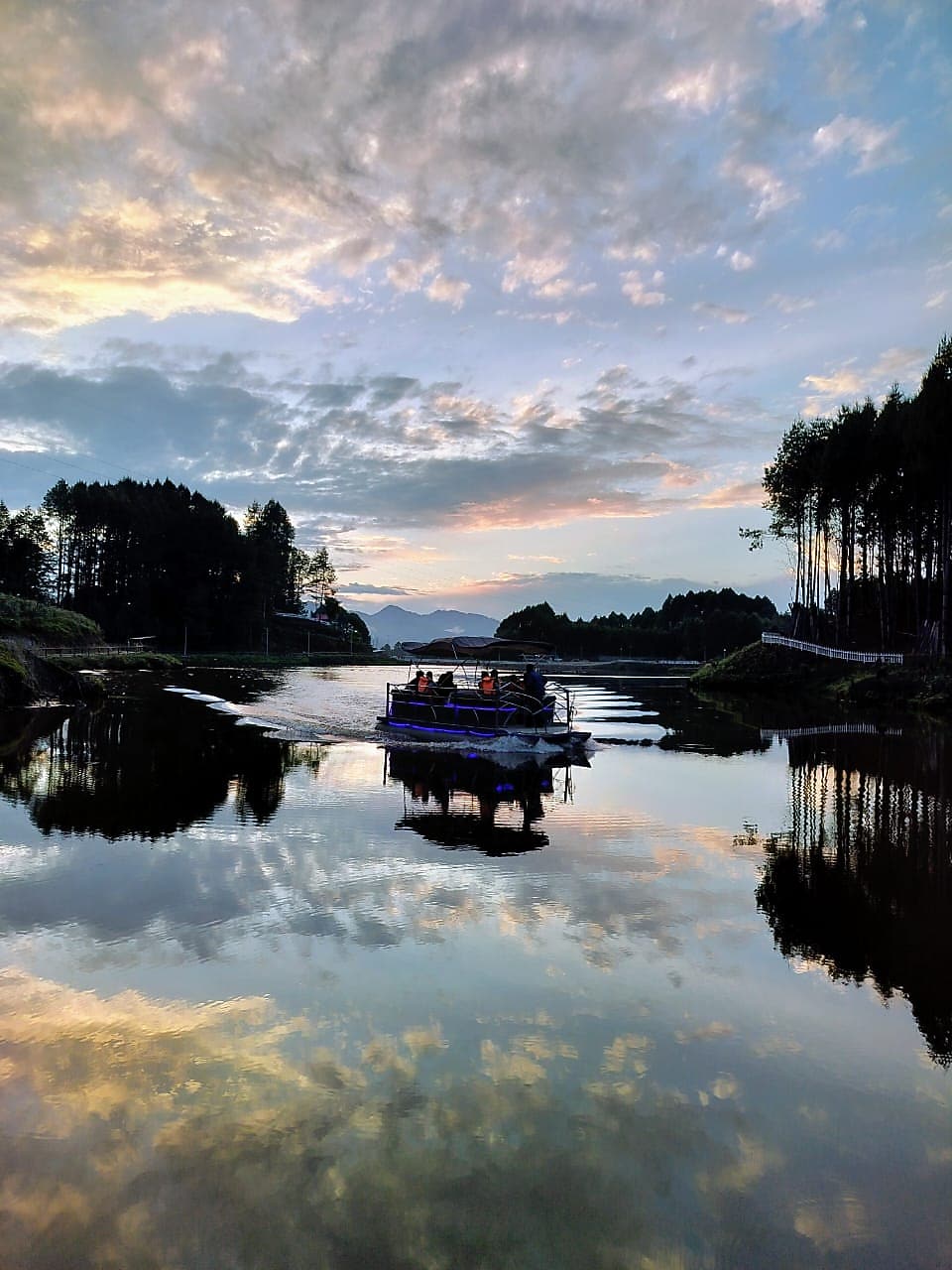 Photos of Hotel Blue Pine Hotel in Ziro