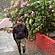 user photos