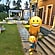 user photos