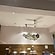 user photos