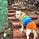user photos