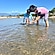 user photos