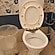 user photos