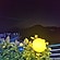 user photos