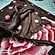 user photos