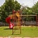 user photos