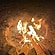 user photos