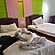 user photos