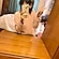user photos