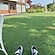 user photos
