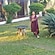 user photos