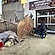 user photos