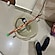 user photos