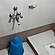 user photos