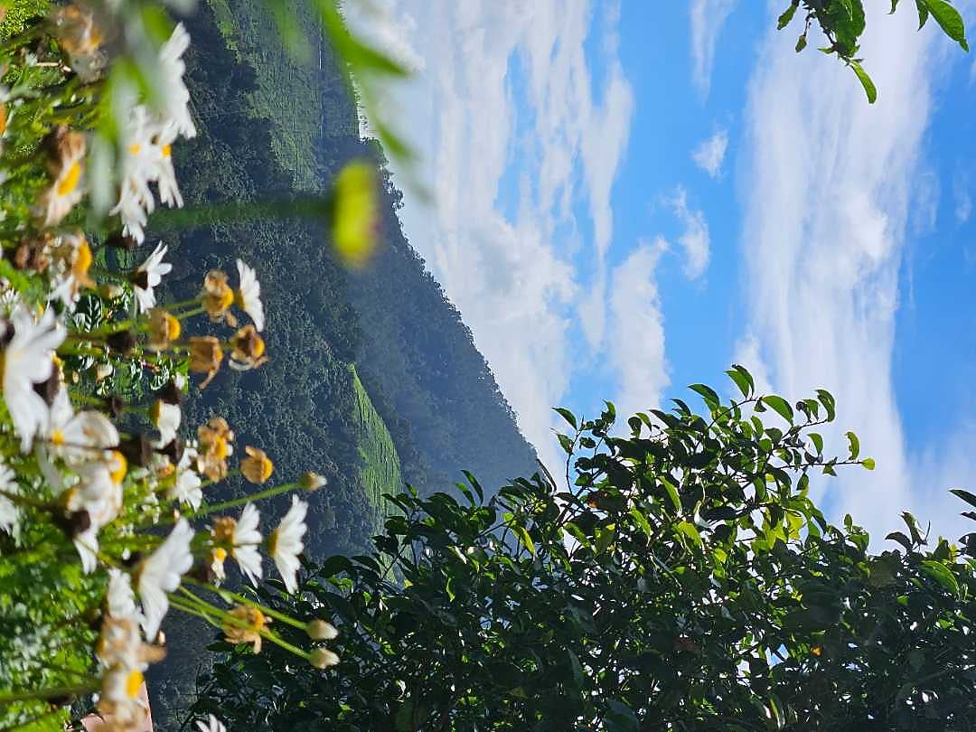 Planters Punch Resorts 𝗕𝗢𝗢𝗞 Ooty Resort 𝘄𝗶𝘁𝗵 ₹𝟬 𝗣𝗔𝗬𝗠𝗘𝗡𝗧