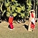 user photos