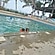 user photos