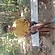 user photos