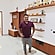 user photos