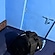 user photos