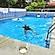 user photos