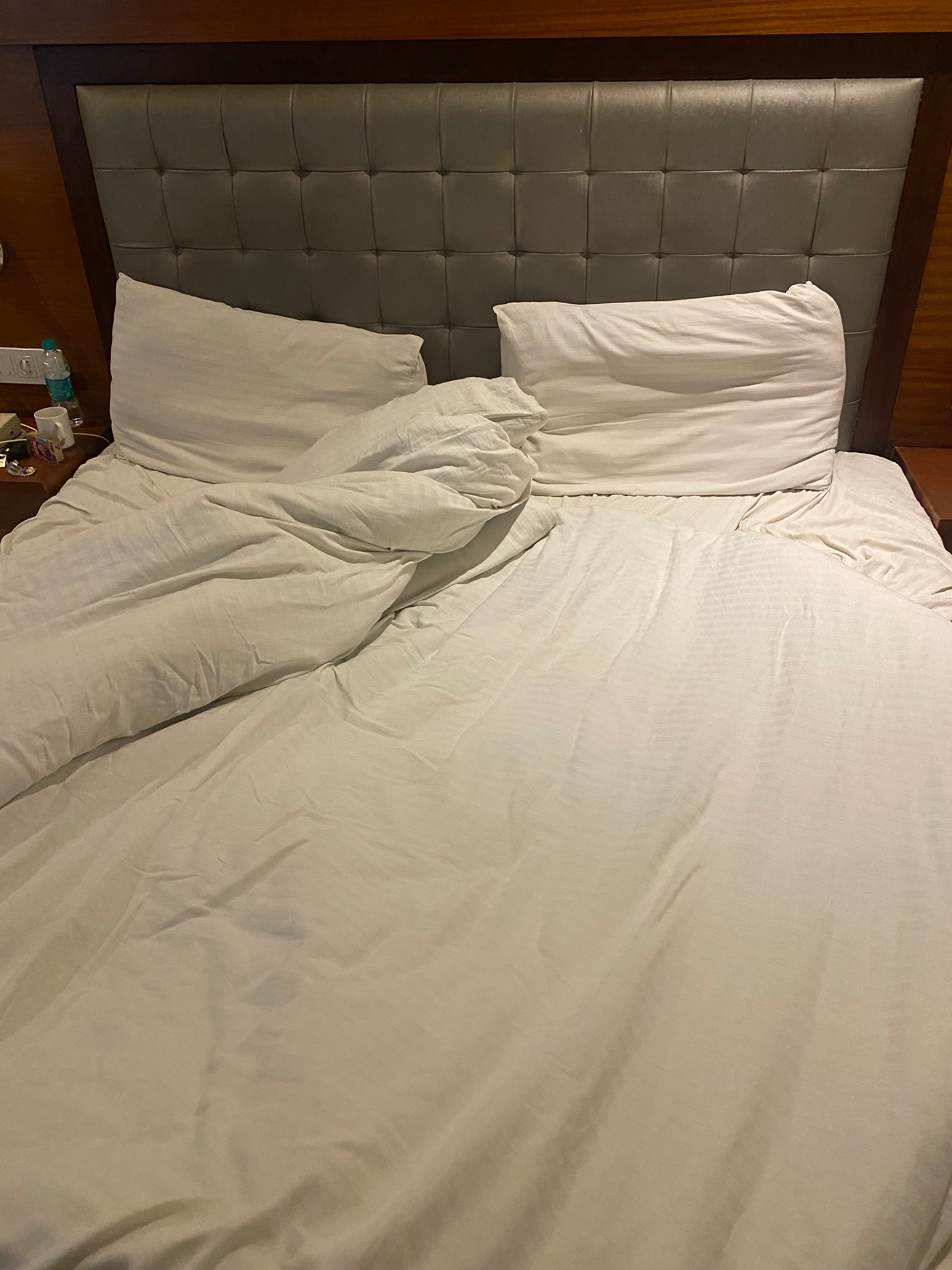 Photos of Mint Hotel Premia Hotel in Zirakpur