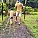 user photos