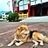 user photos