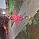 user photos