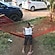 user photos