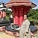 user photos