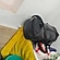 user photos