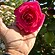 user photos