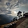 user photos