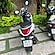user photos