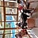 user photos