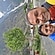 user photos