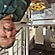 user photos