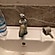 user photos