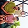 user photos