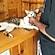 user photos