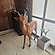 user photos