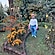 user photos