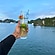 user photos