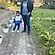 user photos