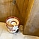 user photos