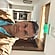 user photos