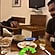 user photos