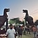 user photos