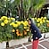 user photos